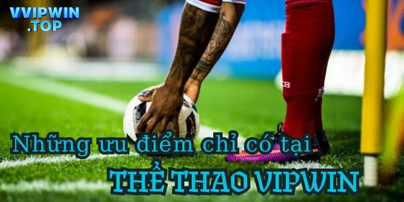 Điểm nổi bật trong thể thao Vipwin