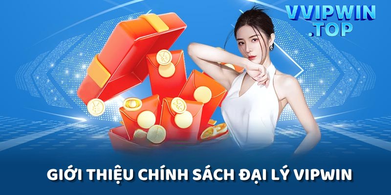 Sơ lược về công việc đại lý Vipwin